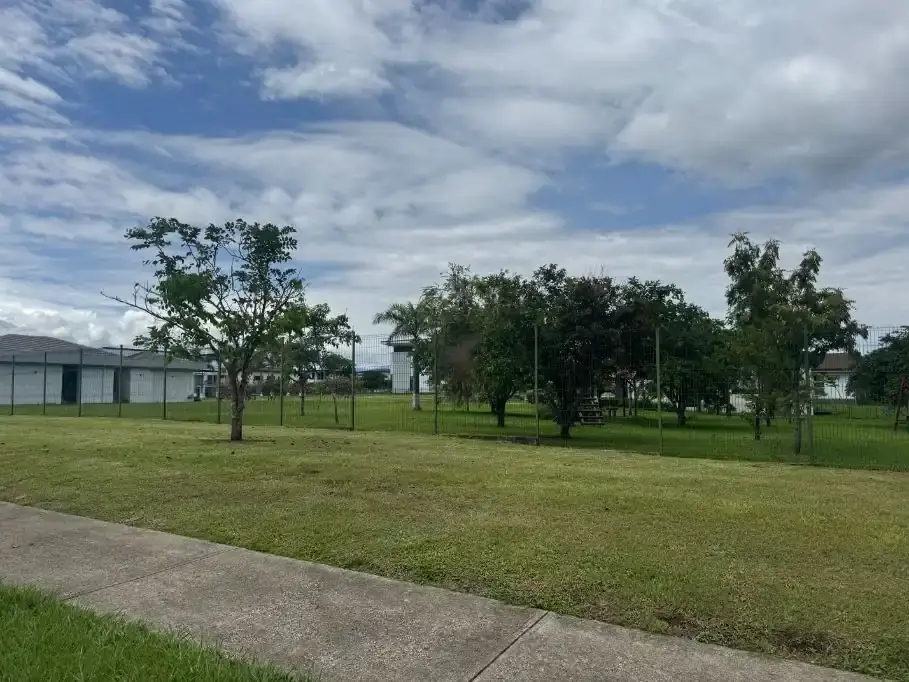 Level building lot with mature trees at Madero Negro, La Guácima