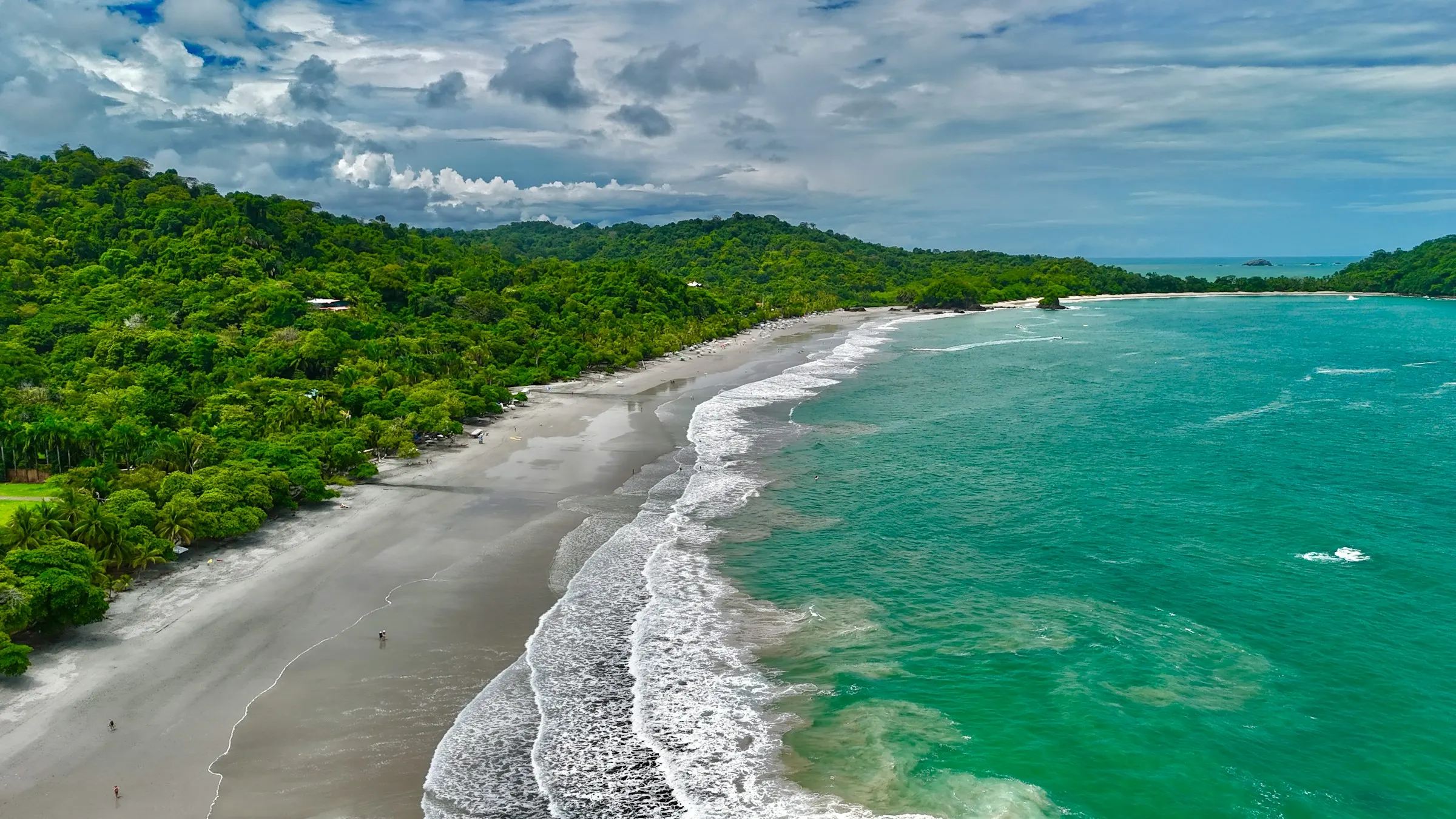 Long empty beach backed by dense jungle, with surf rolling into pale sand