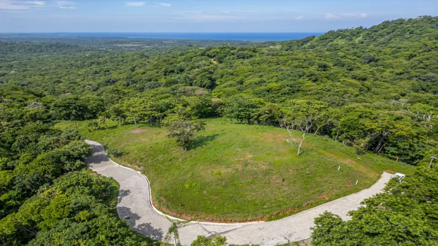 Forested hillside and cleared building plateau at The Enclave at Los Cielos